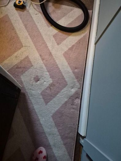 large rug