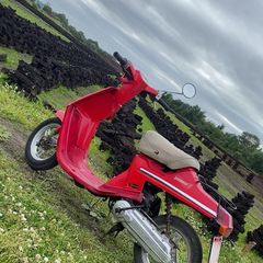 Yamaha Passol 2