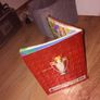 premier league book Image 7