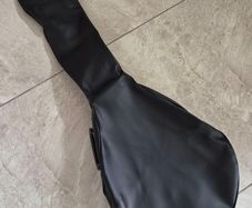 Banjo Case