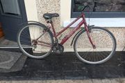bike  small fixing