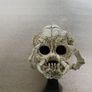 Predator Skull Image 4