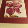 SET OF 2 Picture - Pastel pink flower - reproduction in frame , Brent Heighten artist Image 7