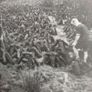 Set of 4 Vintage Photos: Connemara Camping, Cycling & Turf Cutting Expedition Image 4