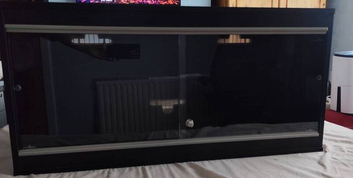 reptile vivarium