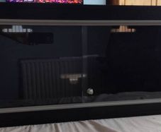 reptile vivarium