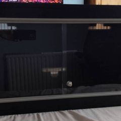 reptile vivarium