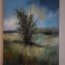 Robert Popczyk "Lonely tree" Image 3