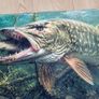 Pike 3D mat fishing Image 3