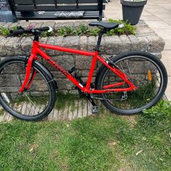 kids frog bike red
