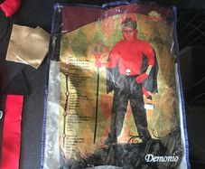 Demon Costume