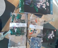 Lego Botanicals Orchids