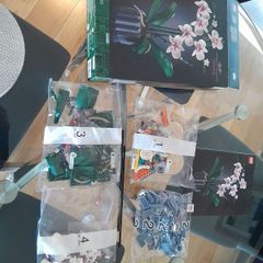 Lego Botanicals Orchids