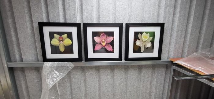 3 framed pictures