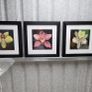 3 framed pictures Image 4