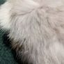 Fur ear muff's Image 4