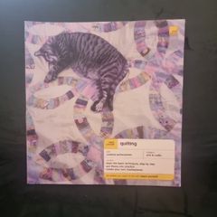 Teach Yourself  Quilting .paperback