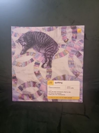 Teach Yourself  Quilting .paperback
