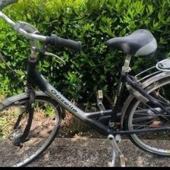 ladies bike