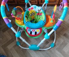Baby Einstein jumperoo