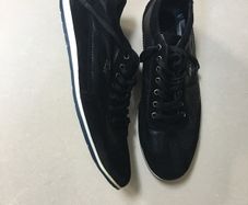 lacoste runners