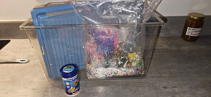 fish tank