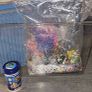 fish tank Image 5