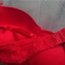 Red Bra Image 4