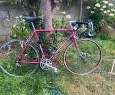 Vintage Peugeot Road Bike
