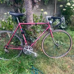Vintage Peugeot Road Bike