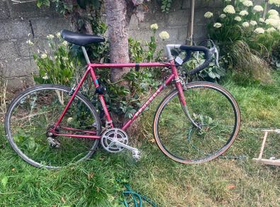 Vintage Peugeot Road Bike