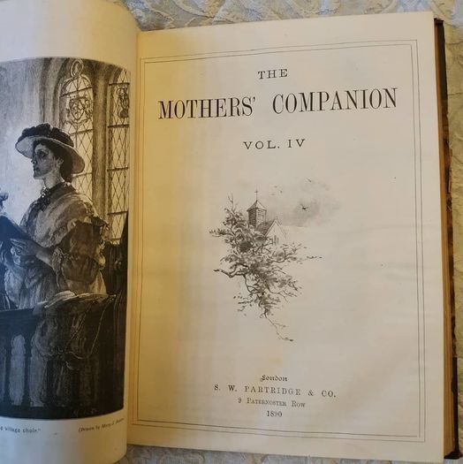 Antique Book: Mother's Companion from 1889