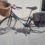 Ladies bike brand new Image 2