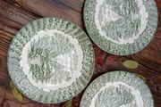 Green plates,  British Anchor, green transferware, green delph