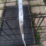 Large Dog Cage / Carrier Image 5