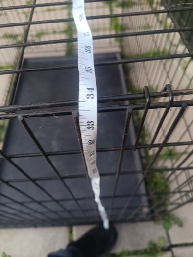 Large Dog Cage / Carrier