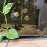 720 ltr aquarium Image 7