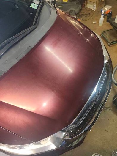Paint correction & Headlight restoration