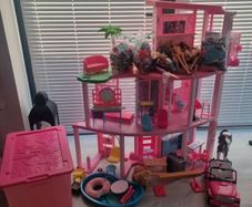 Barbie Bundle & storage box