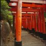 Film Scanning (35mm & 120mm) Image 4