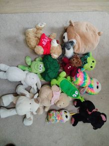 Teddys Free to take