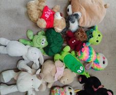 Teddys Free to take
