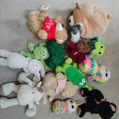Teddys Free to take