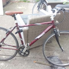 adult bike for sale