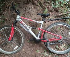 mountain bike kids