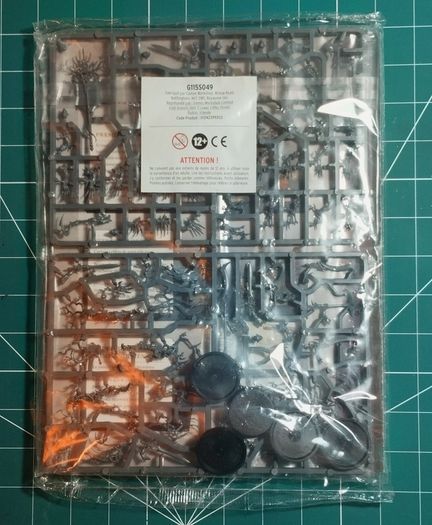 Warhammer Age of Sigmar Stormbringer 49 Spite Revenants