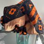 Cap, Bonnet and Scarfs for Sale Image 5