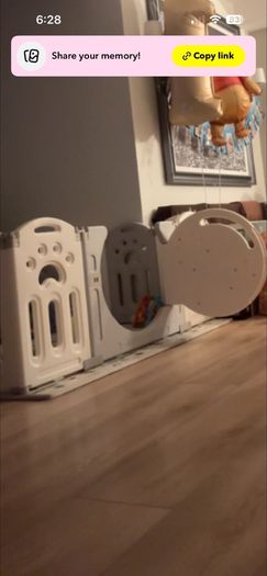 Baby bear play pen