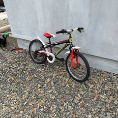 FREE cross ride kids bike