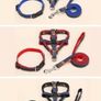 Dog harness+ more sold job lot or in pieces 200 dog harness+ accessories Image 6